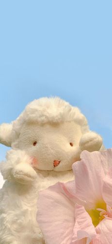 2(羊) - 堆糖,美图壁纸兴趣社区