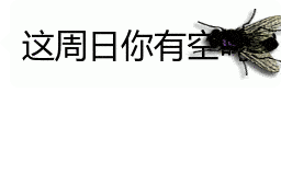 整蛊苍蝇表情包朋友看了想打人
