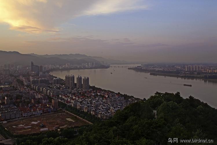 富阳鹿山富春阁顶看落日晚霞
