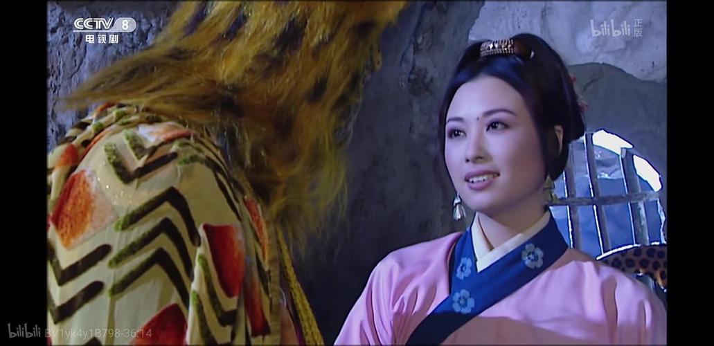 沈夫人是西游记里面那个被豹子精抢走的村妇!