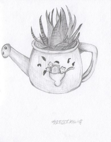 喷壶花盆里的仙人掌|插画|其他插画|tl1314 - 原创