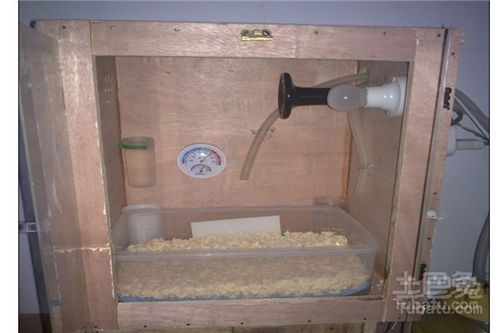 快餐保温箱品牌推荐 无证无照隐患不小