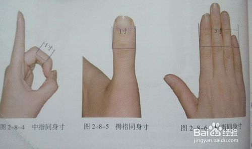 中指同身寸   被取穴者的中指中节桡侧两端纹头之间的距离为