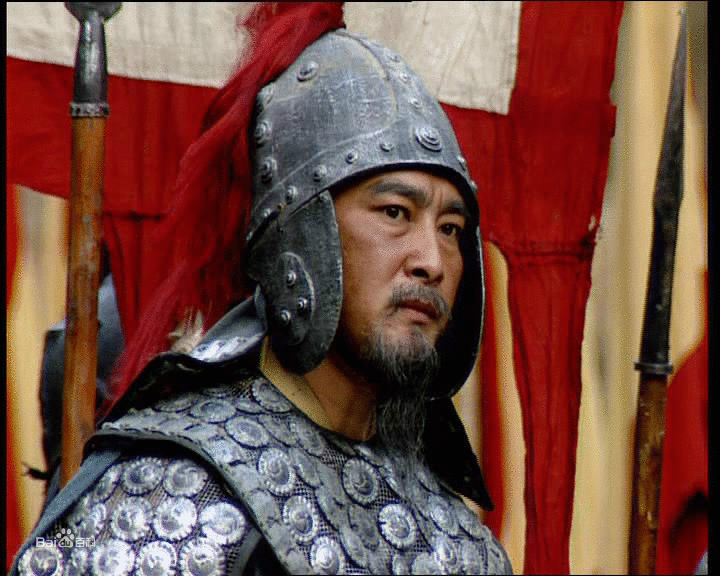 樊志起饰演的姜维