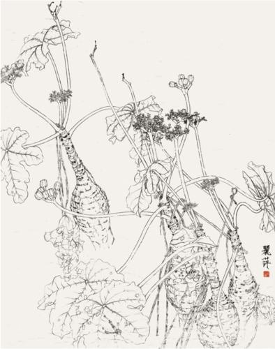 【苏门画苑】中央美术学院苏百钧工作室 师生线描写生