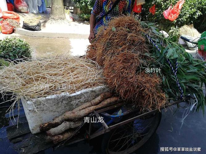 青山龙炖牛尾,喝汤吃肉,泉州阿嫲的药膳,强筋健骨很不