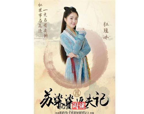 苏染染追夫记电视剧演员介绍