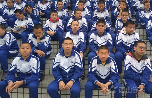 肖林森