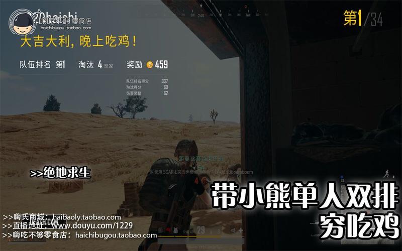 嗨氏绝地求生:带小熊单人双排穷吃鸡