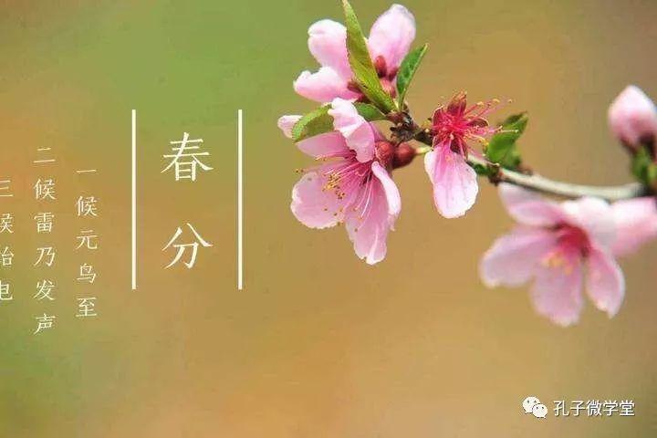 春分三侯:一候玄鸟至;二候雷乃发声;三候始电.