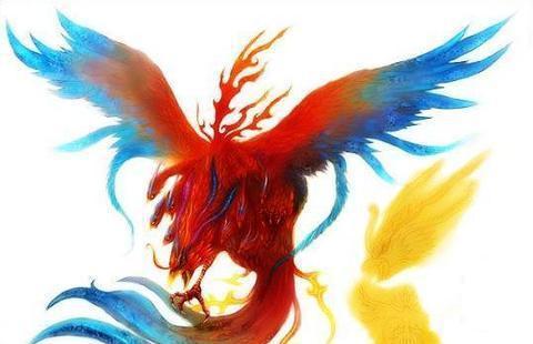 九头雉鸡精简笔画