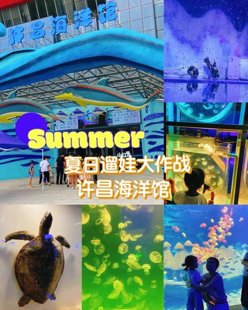 夏日遛娃大作战 许昌海洋馆_海洋馆_遛娃_夏天去哪玩