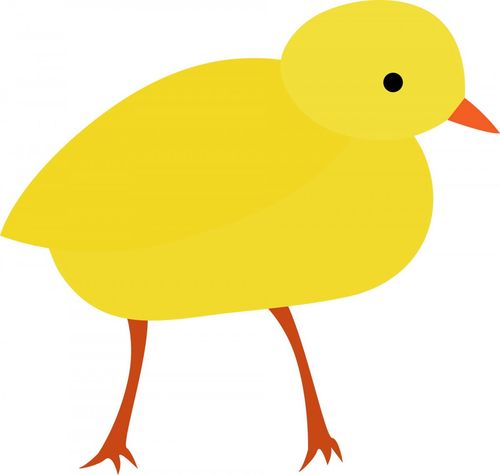 图片大全] 卡通小鸡图片