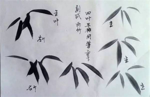兴艺课堂丨竹叶的各种画法