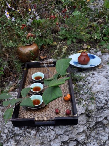 [转载]云下清秋户外茶席之二:云白柿红饮南山