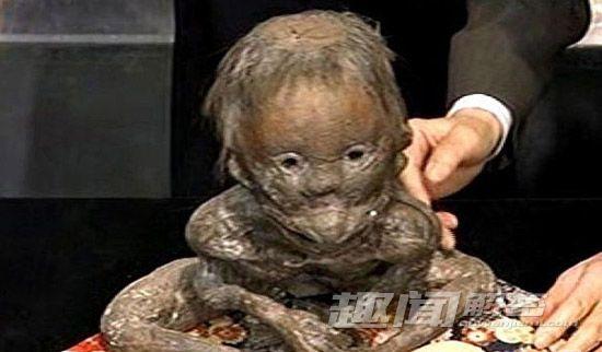 广东水库抓到恐怖水鬼(图)