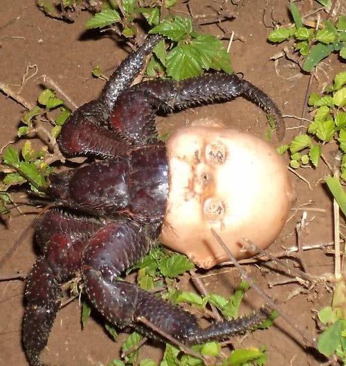 4张有点"诡异"的照片,仔细分析一看,全都是真实发生的