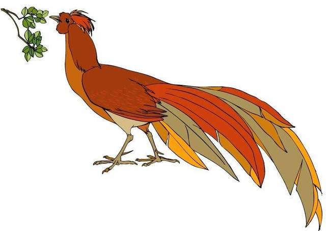 睡前故事 | 中国寓言:山鸡起舞