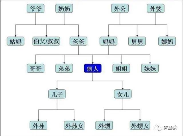 血缘关系家庭树