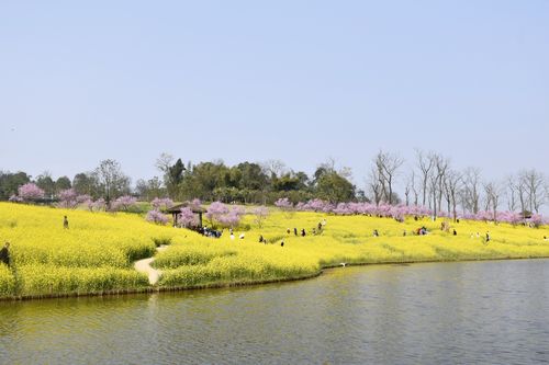 重庆天坪山云林天乡景区(成人票)