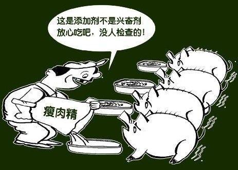 如何识别含有"瘦肉精"的猪肉