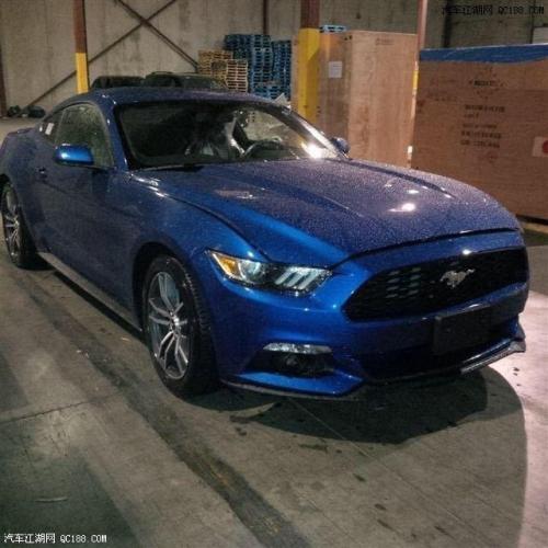 qq野马头像男生