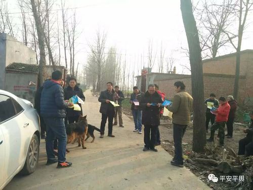 平舆县玉皇庙乡开展治安巡防 提升群众安全感