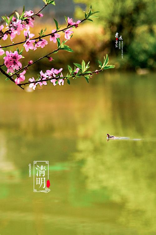 二十四节气—清明 清明时节雨纷纷