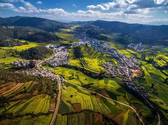 玉溪峨山,油菜花都开好了,你却要上班了!