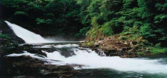 龙栖山自然保护区