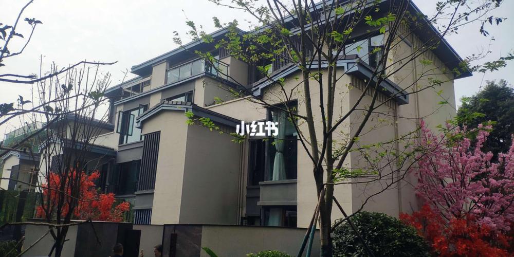 成都温江别墅区 洋房(1万起)别墅1.