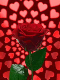 玫瑰花gif红色gif爱心gif美丽gif