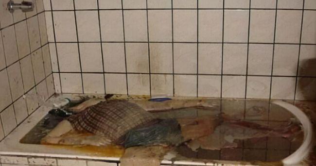 28岁空姐惨遭溶尸男友砍掉头颅将尸身放在铁皮箱内倒入药水