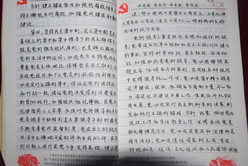 优秀手抄党章作品