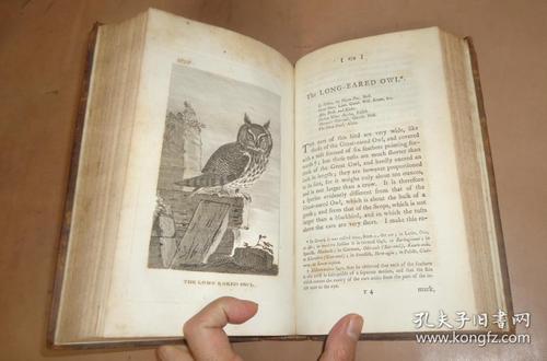 1793年 count de buffon:natural history, of birds 布封《鸟类自然