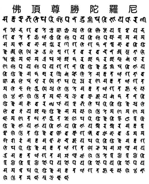 查了下,可能是用悉昙体梵文书写的《净一切恶道佛顶尊胜陀罗尼》