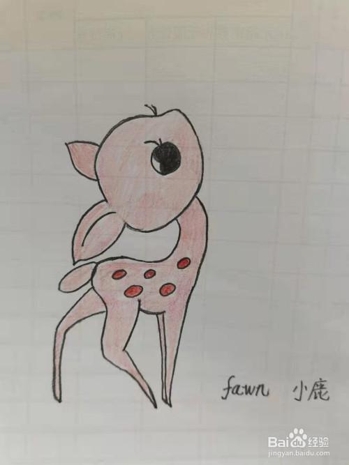 最后,涂上喜欢的颜色,简单的小鹿简笔画,你学会了吗?