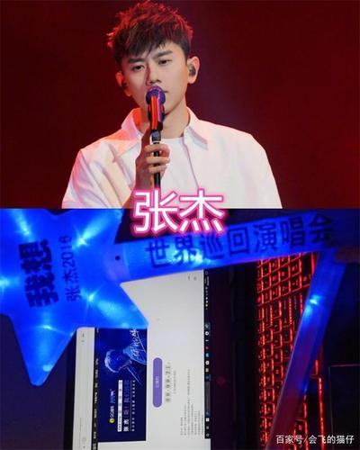 张杰的应援棒是星星,鹿晗的应援棒很明显,李宇春的:设计的不错