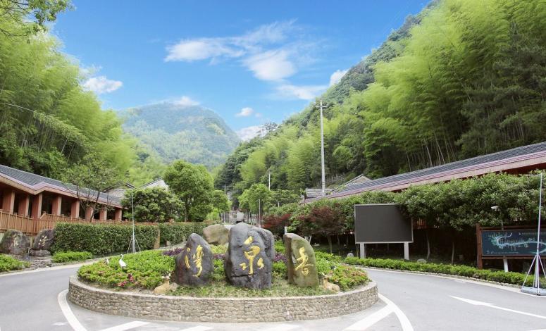 赤水桫椤树主题酒店