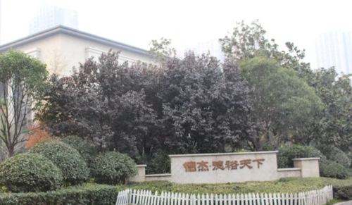 德杰德裕天下