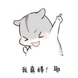 这尤克里里被你们玩出花儿来了!