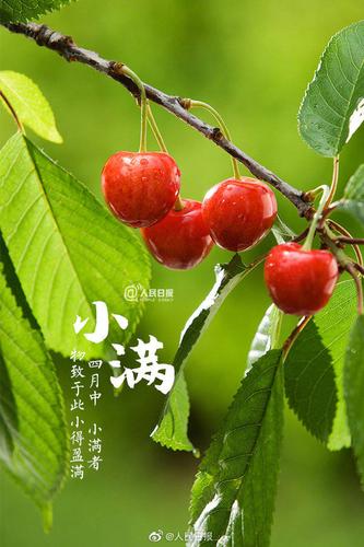 小满