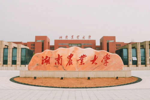 文明小犇 | 六十二张图全景式展示湖南农业大学文明创建工作的点点