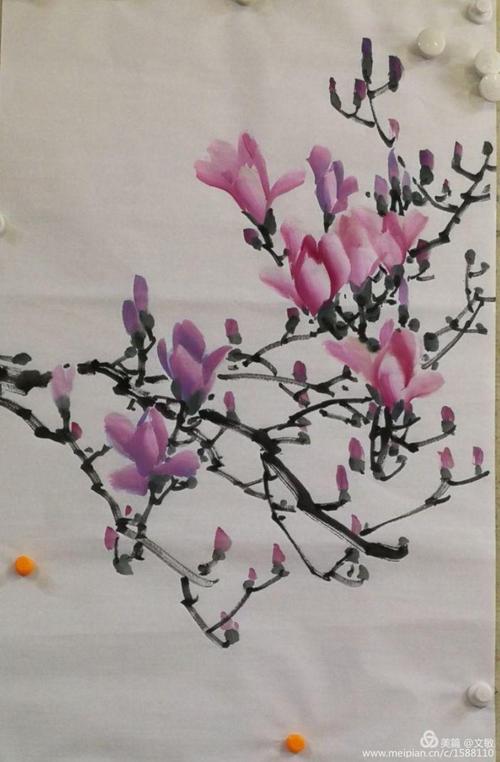 耿老师小写意花鸟中级二:6,辛夷和垂丝海棠的画法