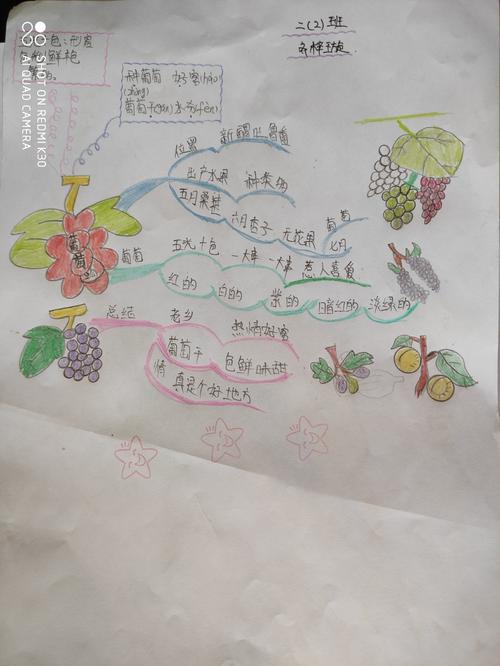 《葡萄沟》思维导图