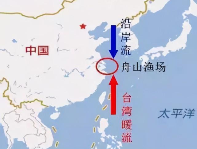 海洋的"报复":过度捕捞二十年,舟山渔场已成"死海"?