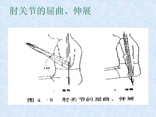 关节活动度的测量ppt