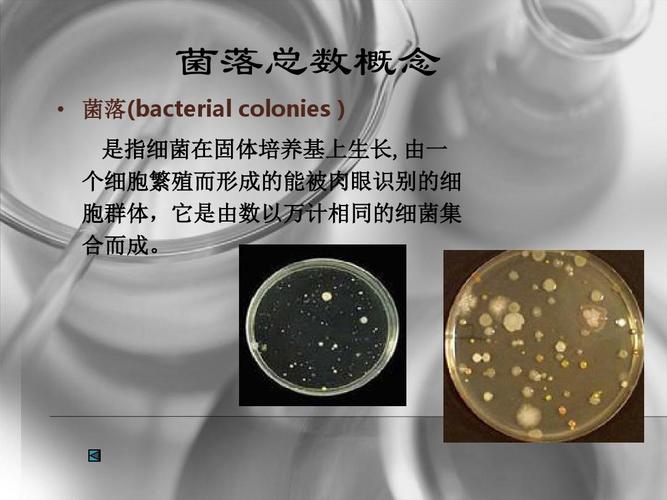 食品中菌落总数检验ppt