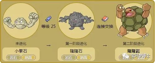 精灵宝可梦全精灵图鉴大全技能战术分析汇总(43)