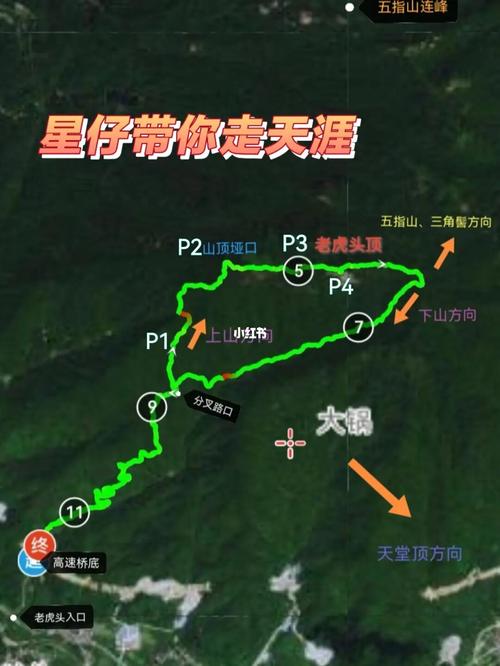 站在云端看世界74广州徒步|从化老虎头攻略